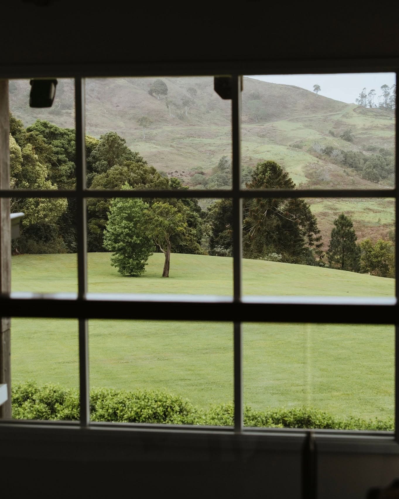 Hinterland rolling hills