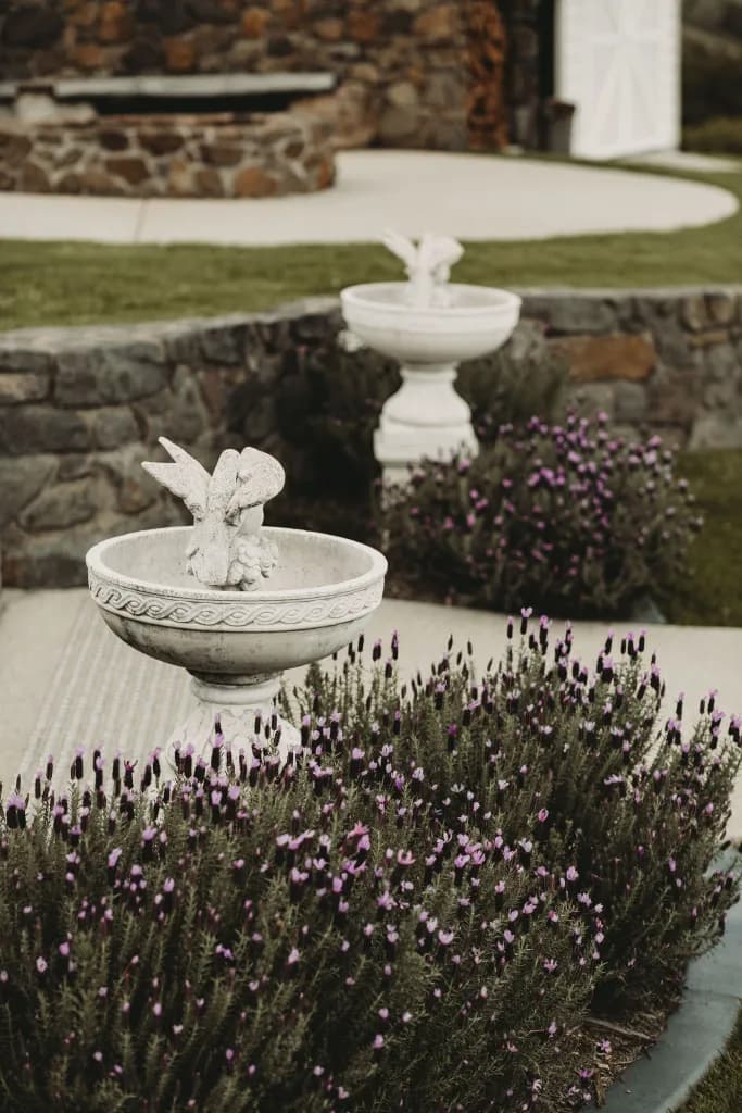 Mountain range vista